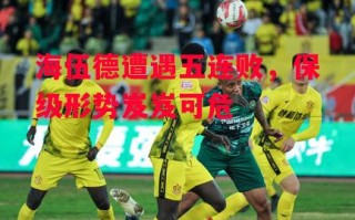 星空体育-海伍德遭遇五连败，保级形势岌岌可危