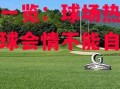 星空体育官网-精彩一览：球场热火朝天，球会情不能自禁
