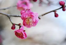 星空体育官网入口-梅斯成功脱降,球迷欢欣鼓舞-第2张图片-星空体育官方网站 星空体育官网入口-梅斯成功脱降,球迷欢欣鼓舞-第2张图片-星空体育官方网站